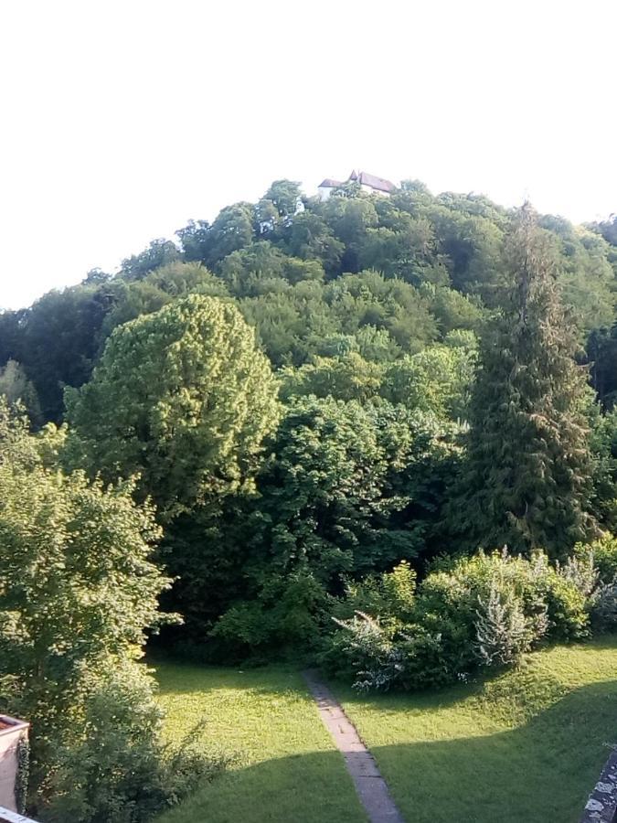 Appartement 53M2 Moebliert Mit Internet Tv Kueche Mit Schoener Aussicht In Zwischen Olten- Aarau Appartamento Lostorf
